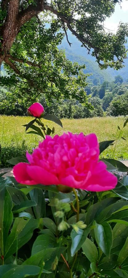 Etno Selo Zuric Villa Mojkovac Bilik gambar
