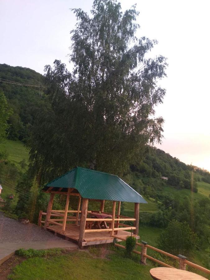 Etno Selo Zuric Villa Mojkovac Luaran gambar